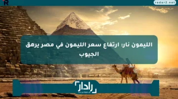 الليمون نار: ارتفاع سعر الليمون في مصر يرهق الجيوب